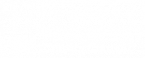 Nottinghamshire County Council logo